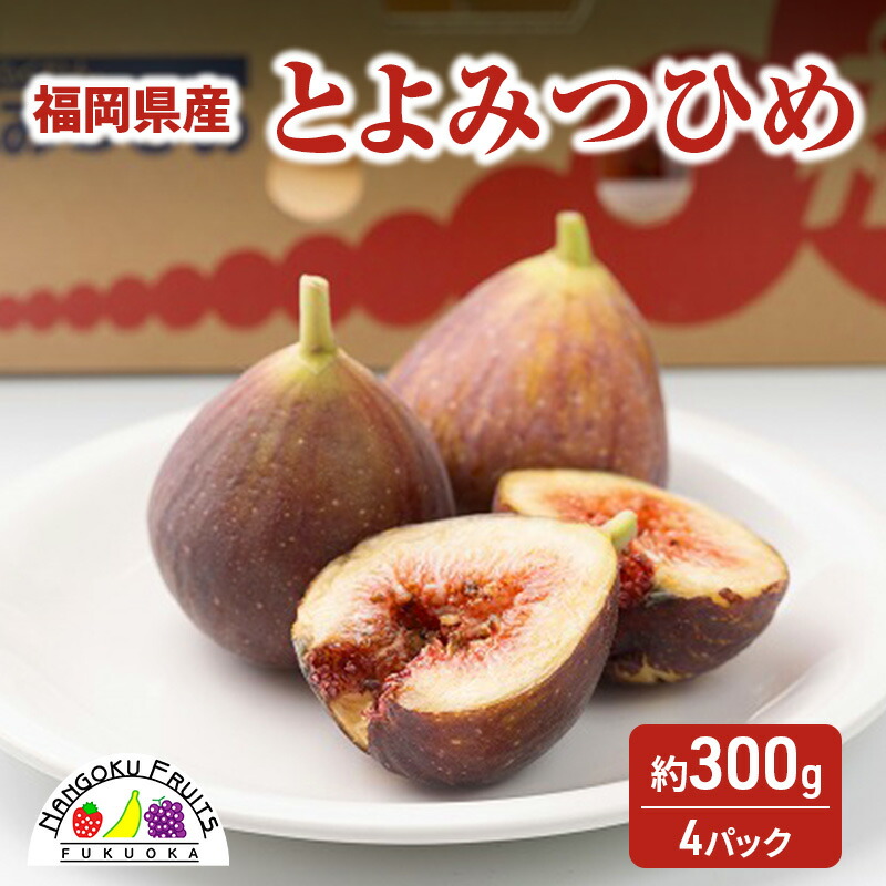 【ふるさと納税】いちじく 福岡限定!ブランド いちじく「とよみつひめ」約300g×4パック 無花果 フルーツ 果物 ※配送不可:離島　お届け：2025年8月7日～10月20日