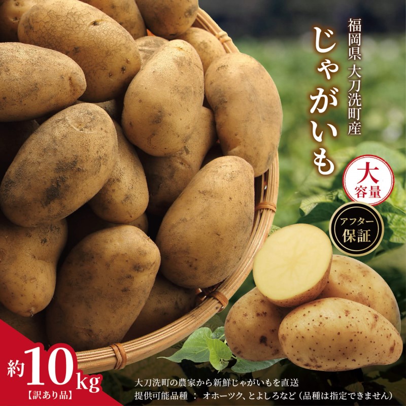 【ふるさと納税】訳あり 大容量 福岡県 大刀洗町産 じゃがいも 約10kg 野菜 ジャガイモ　お届け：2025年6月中旬～7月下旬