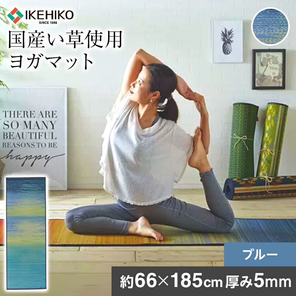 【ふるさと納税】 国産い草 瑜伽引っ敷き 軽さ 畳瑜伽ECO skysea 約66×185珊 5粍 青碧 青 TPE 熱可塑性エラストマー 瑜伽 引っ敷き 持ちはこぶ 湿度調節する 国産 い草 柔軟性 耐久 運動すること 容れもの おすすめ 福岡県 大木町 株式会社イケヒコ・コーポレーション AA065