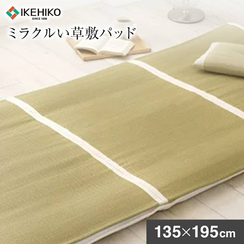 【ふるさと納税】不思議なことい草敷パッド（135×195） おすすめ 福岡県 大木町 AA360