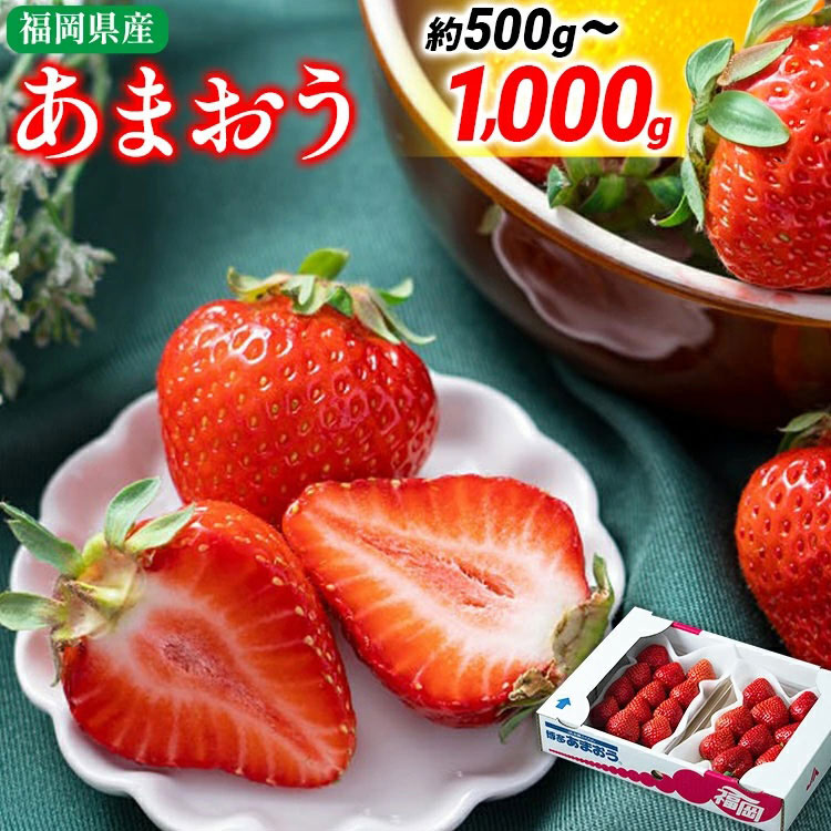 【ふるさと納税】福岡産【冬】あまおう 量が選べる 約500g 約1000g いちご 苺 九州産 福岡県産 冷蔵 送料無料 【2026年12月上旬から2027年1月末にかけて順次発送】 イチゴ フルーツ 果物 くだもの ※北海道・沖縄・離島は配送不可 大木町産 南国 フルーツCO001 CO002