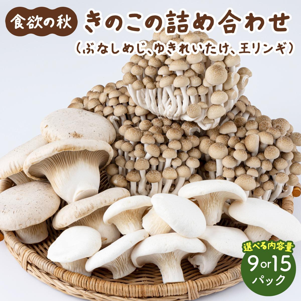 【ふるさと納税】食欲の秋!きのこの詰め合わせ 選べるパック数(各3~5パック)AT16/AT17|福岡県大木町