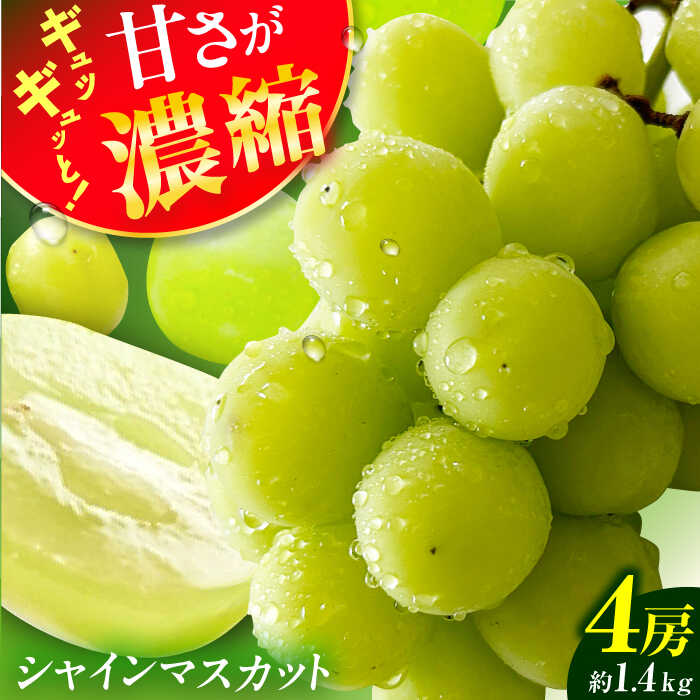 【ふるさと納税】【★先行予約★ 2025年8月下旬以降発送】シャインマスカット 約1.4kg 産地直送 果物 くだもの 旬 広川町 / JAふくおか八女農産物直売所どろや[AFAB007]