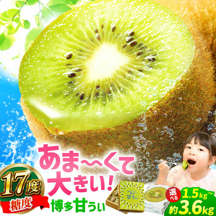【ふるさと納税】【★先行予約★　2025年11月上旬より発送】〈選べる容量〉福岡県ブランド! キウイフルーツ 博多甘うぃ 約1.5kg～約3.6kg 果物 くだもの 広川町 / JAふくおか八女農産物直売所どろや[AFAB013]