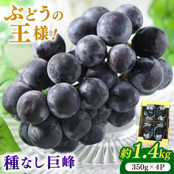 【ふるさと納税】【★先行予約★ 2025年7月中旬より発送】 種なし巨峰 約1.4kg ブドウ ぶどう 葡萄 きょほう グレープ 広川町 / JAふくおか八女農産物直売所どろや[AFAB017]