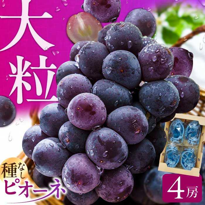 【ふるさと納税】【★先行予約★　2025年7月中旬より発送】ピオーネ 約1.4kg　広川町 / JAふくおか八女農産物直売所どろや[AFAB047]