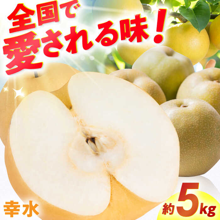【ふるさと納税】【★先行予約★ 2025年7月下旬より発送】梨（幸水）約5kg  なし ナシ 果物 フルーツ 広川町 / JAふくおか八女農産物直売所どろや[AFAB060]