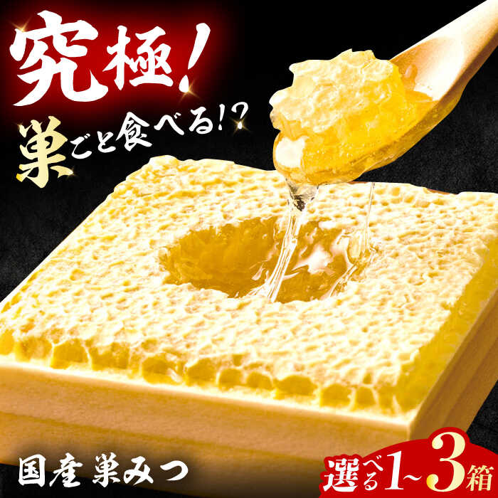【ふるさと納税】【先行予約　2025年7月より発送】国産巣みつ 300g はちみつ 蜂蜜 ハチミツ 広川町 / 株式会社九州蜂の子本舗[AFAI004]