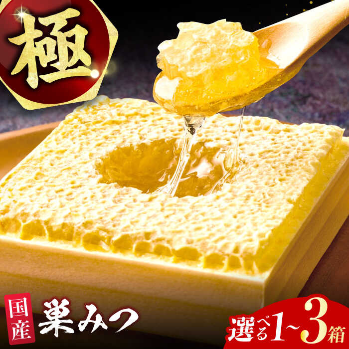 【ふるさと納税】【先行予約　2025年7月より発送】【選べる容量】極巣みつ 310g～930g 広川町 / 株式会社九州蜂の子本舗[AFAI007]
