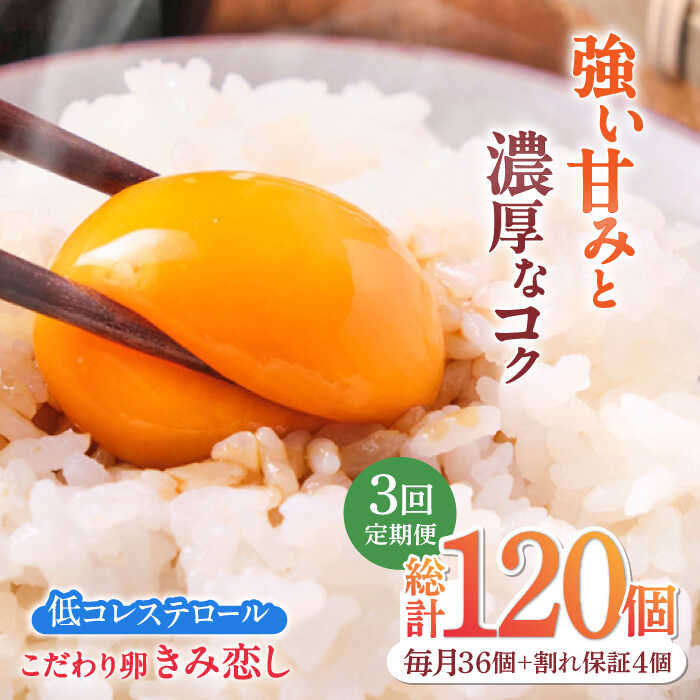 【ふるさと納税】【3回定期便】きみ恋し 箱入り 40個（36個+割れ保証4個）×3ヶ月 総計120個　広川町/伊藤養鶏場[AFAJ001]