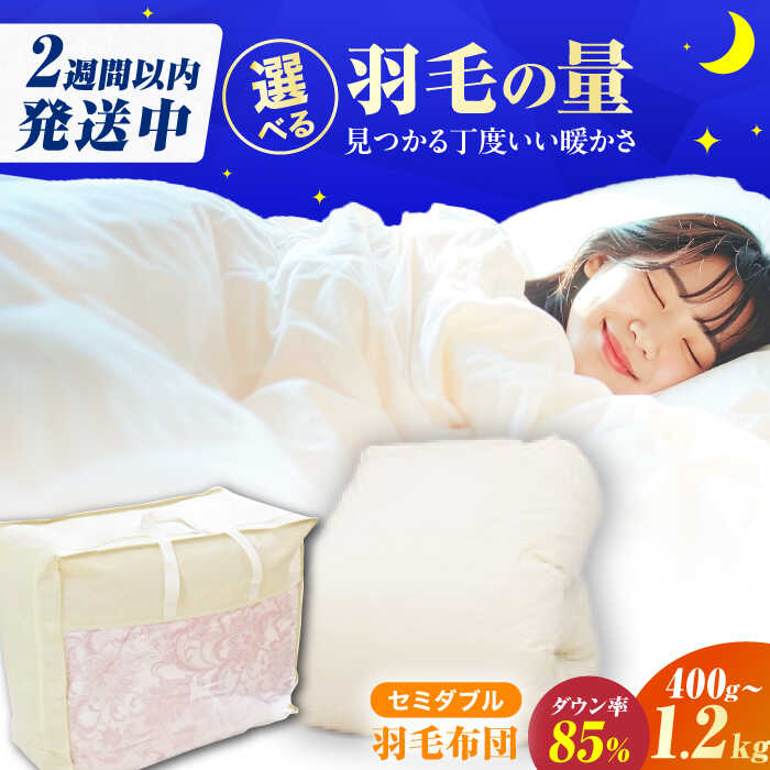 広川町大有りがたさ祭！ インテリア・寝具・収納-寝具-掛け布団