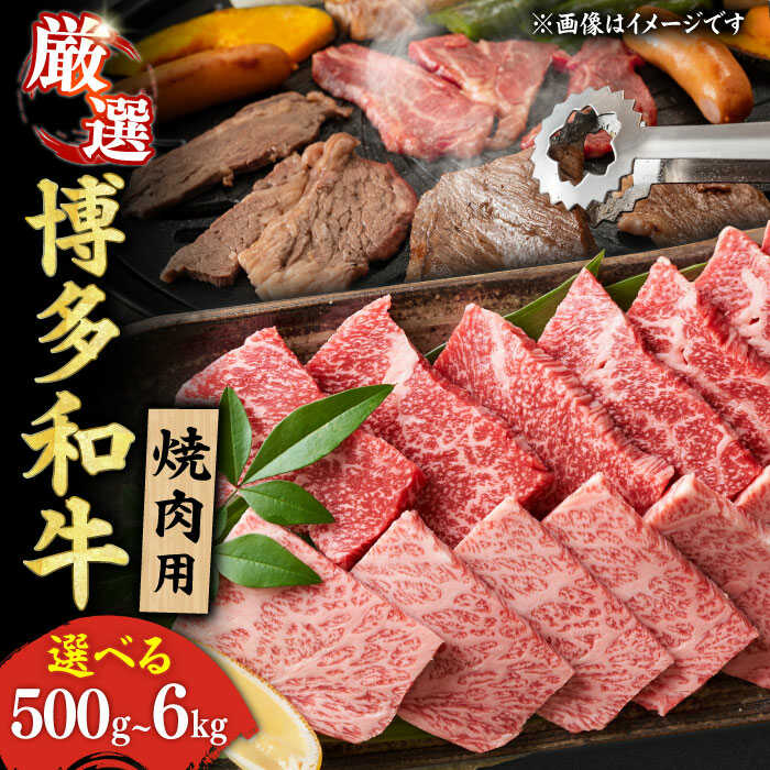 【ふるさと納税】【選べる定期便】博多和牛 焼肉用 肉 定期便 選べる 焼き肉 やきにく 牛肉 広川町 / 株式会社MEAT PLUS[AFBO069]