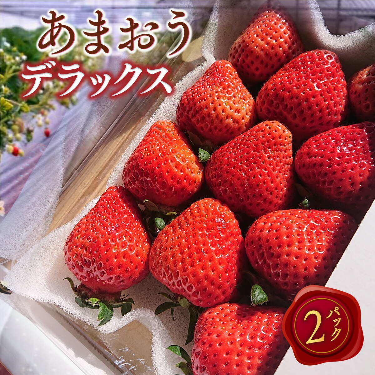 あまおうデラックス 2パック いちご 福岡県産 果物 OZ001 送料無料 冷蔵 先行予約※