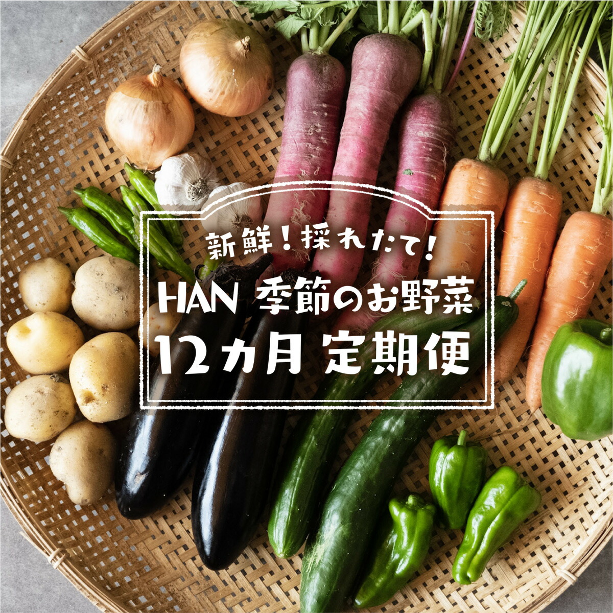 【ふるさと納税】 季節のお野菜 12ヶ月 定期便 野菜 セット 詰め合わせ  農薬不使用 新鮮 採れたて やさい  HAN 送料無料