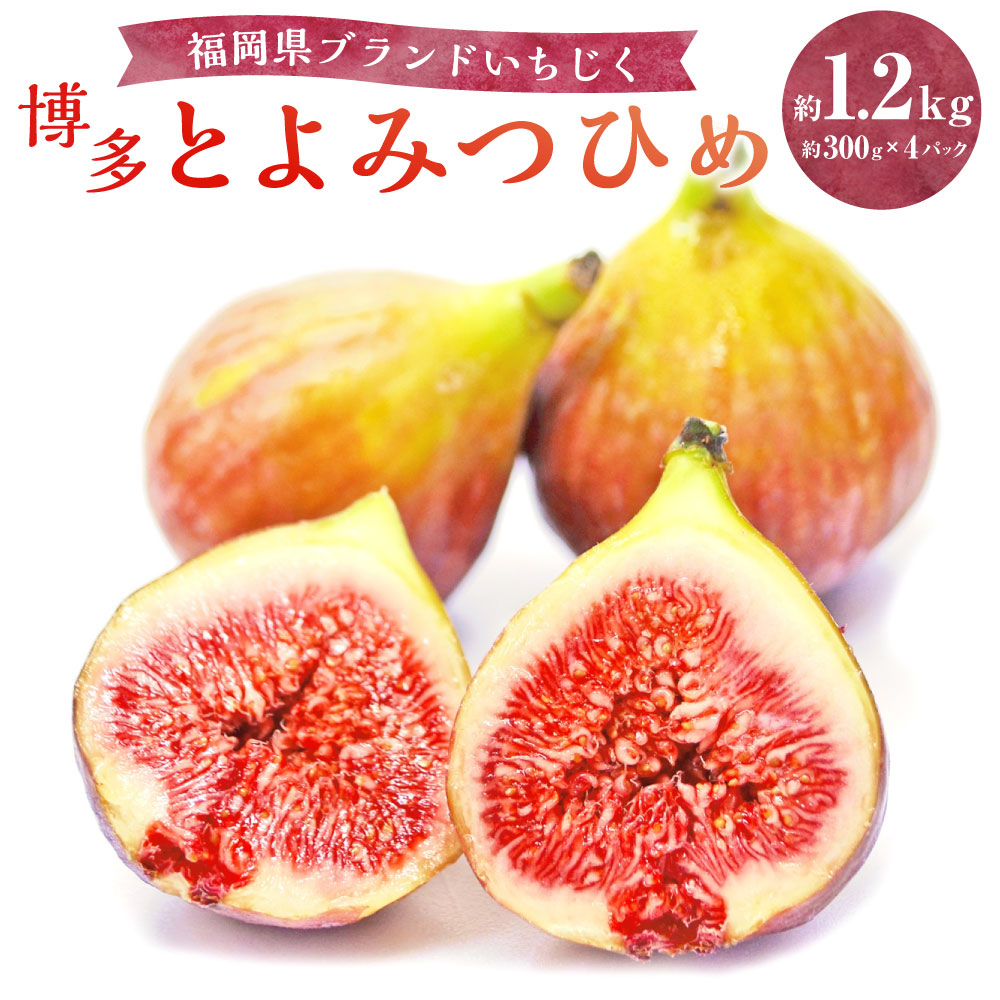 【ふるさと納税】福岡県 ブランドいちじく 「博多とよみつひめ」 計約1.2kg（約300g×4パック） イチジク 無花果 くだもの 果物 果実 フルーツ 果肉 糖度17度 冷蔵 福岡県産 国産 福岡県 香春町 送料無料 【2026年8月下旬～2026年10月下旬発送予定】 8,030円