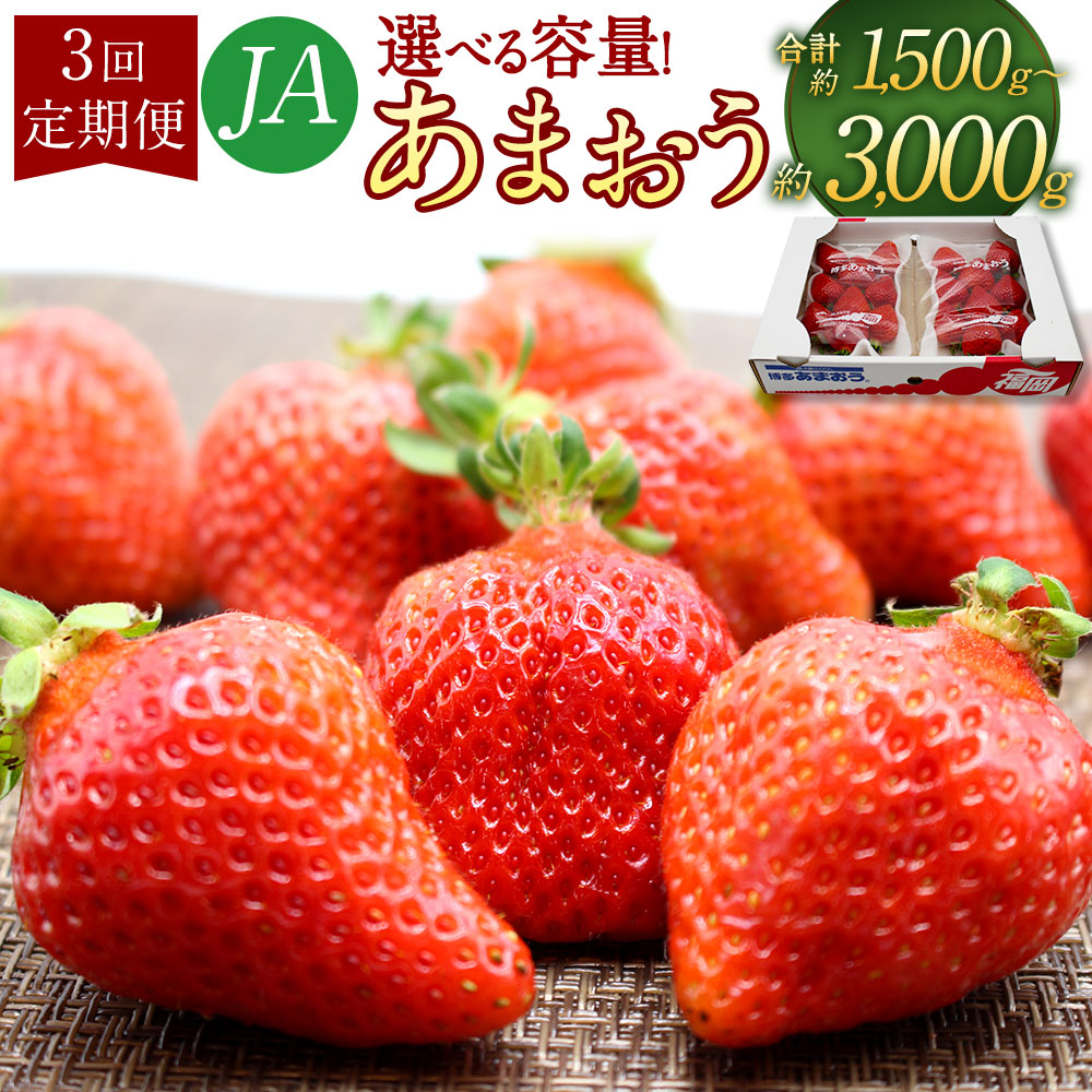 【ふるさと納税】【3回定期便(2・3・4月発送)】博多あまおう〈選べる〉約1.5kg(2パック×3回) or 約3kg(4パック×3回) 1パックあたり約250g-270g いちご イチゴ 苺 フルーツ くだもの 果物 冷蔵 国産 福岡県 送料無料【2026年2月上旬-4月下旬発送予定】