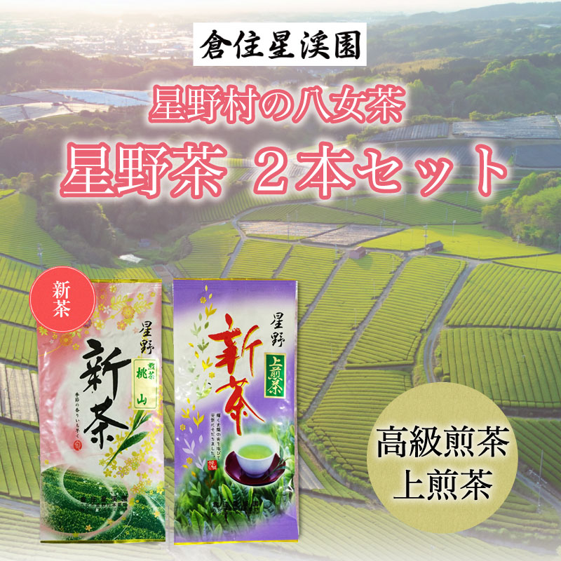 【ふるさと納税】【2025年産】星野村の八女茶 2本セット [a9273] 株式会社 ゼロプラス 【返礼品】添田町 ふるさと納税｜福岡県添田町
