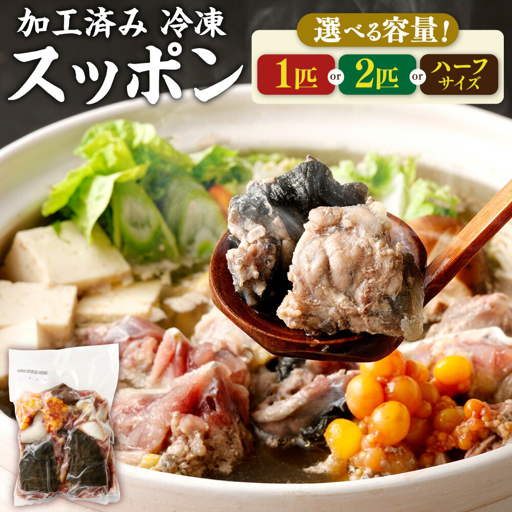 【ふるさと納税】【選べる内容量】加工済み スッポン 1匹  2匹 1匹約850～900g ハーフサイズ 1パック 2パック 1パック約400g カット済み すっぽん 揚げ物 鍋 すっぽん鍋 から揚げ 福岡県産 糸田町産 冷凍発送 送料無料