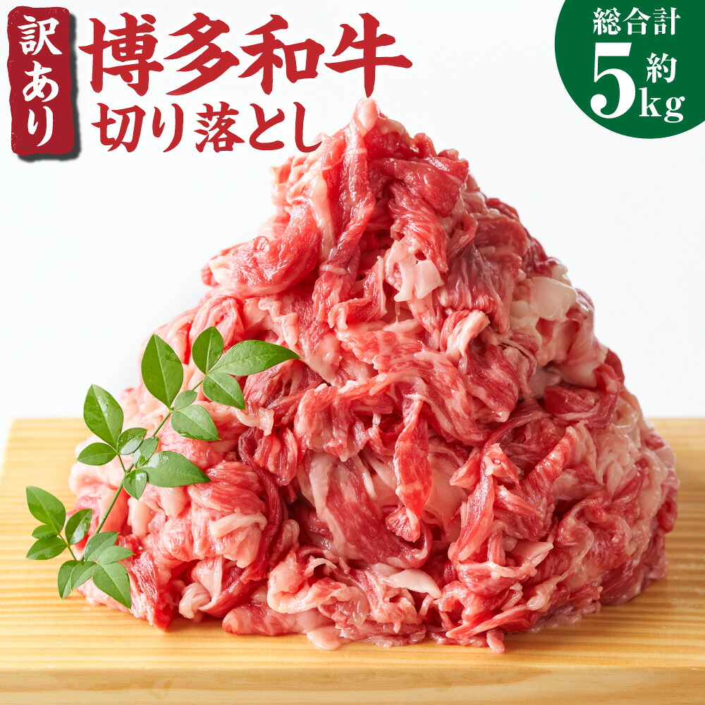 【ふるさと納税】訳あり! 博多和牛 切り落とし 5kg 約500g&times;10パック 牛肩 バラ 黒毛和牛 和牛 牛肉 福岡県 送料無料｜福岡県糸田町
