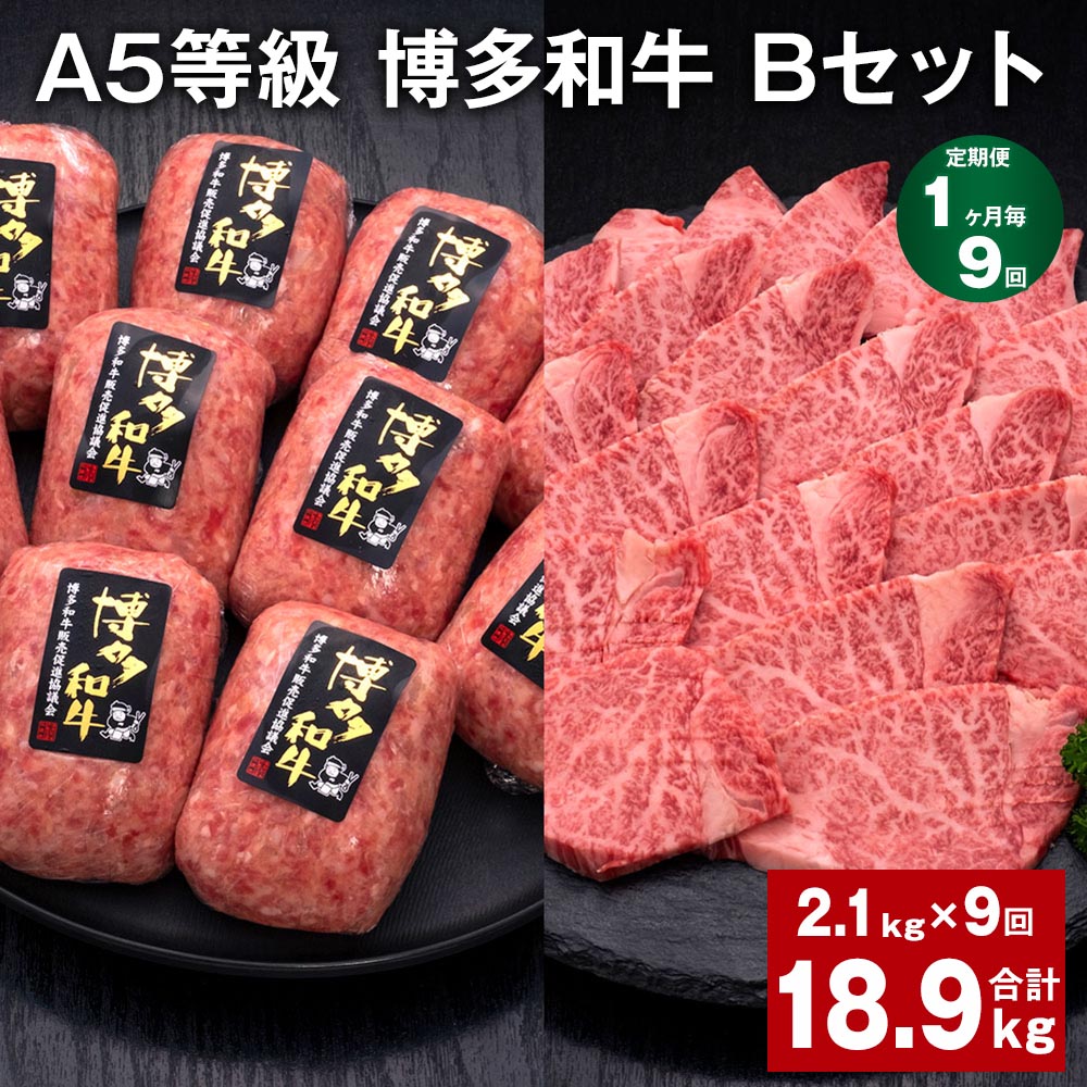 【ふるさと納税】【定期便】【1ヶ月毎9回】A5等級 博多和牛 Bセット 計18.9kg(2.1kg×9回) 博多和牛100%贅沢本格手ごねハンバーグ 【訳あり】博多和牛ヒレ焼肉 牛肉 お肉 和牛 冷凍 福岡県産 国産 九州 福岡県 糸田町 送料無料|福岡県糸田町