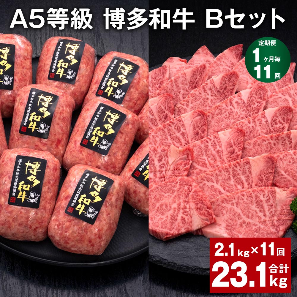 【ふるさと納税】【定期便】【1ヶ月毎11回】A5等級 博多和牛 Bセット 計23.1kg（2.1kg&times;11回） 博多和牛100%贅沢本格手ごねハンバーグ 【訳あり】博多和牛ヒレ焼肉 牛肉 お肉 和牛 冷凍 福岡県産 国産 九州 福岡県 糸田町 送料無料｜福岡県糸田町