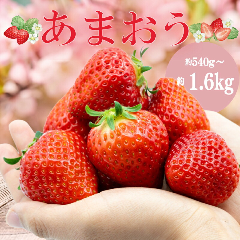 【ふるさと納税】 先行予約【1-2月より発送予定】 あまおう約270ｇ&times;2-6パック グランデ いちご 苺 冷蔵 イチゴ フルーツ 果物 くだもの 春 旬 小分け 福岡県産 苺 あまおう 1kg以上 スイーツ 数量限定 期間限定 特産品 デザート 川崎町福岡 九州 福岡県 川崎町｜福岡県川崎町