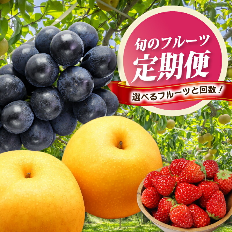 苺桃柿蜜柑様 リクエスト 4点 まとめ商品 苺桃柿蜜柑様 リクエスト 4点 まとめ商品 苺桃柿蜜柑様 リクエスト