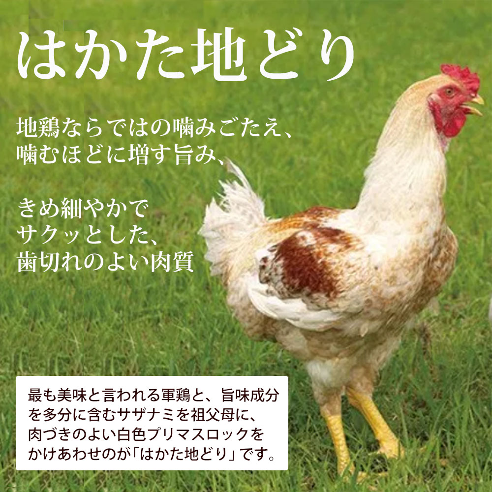 市場 ふるさと納税 博多水炊き やまや明太子セット 2〜3人前 やまや はかた地どり使用 辛子明太子