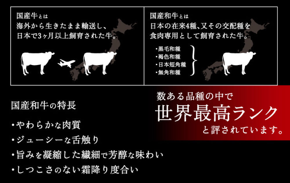 【ふるさと納税】【楽天市場でレビュー440件★4.70獲得!】国産和牛塩もつ鍋野菜なし2〜3人前選べる〆(モチモチちゃんぽんorとろ〜りチーズリゾット)国産和牛小腸約300g塩スープ約1000mlモツ鍋もつ鍋もつモツホルモン鍋ちゃんぽん麺塩スープ付冷凍送料無料