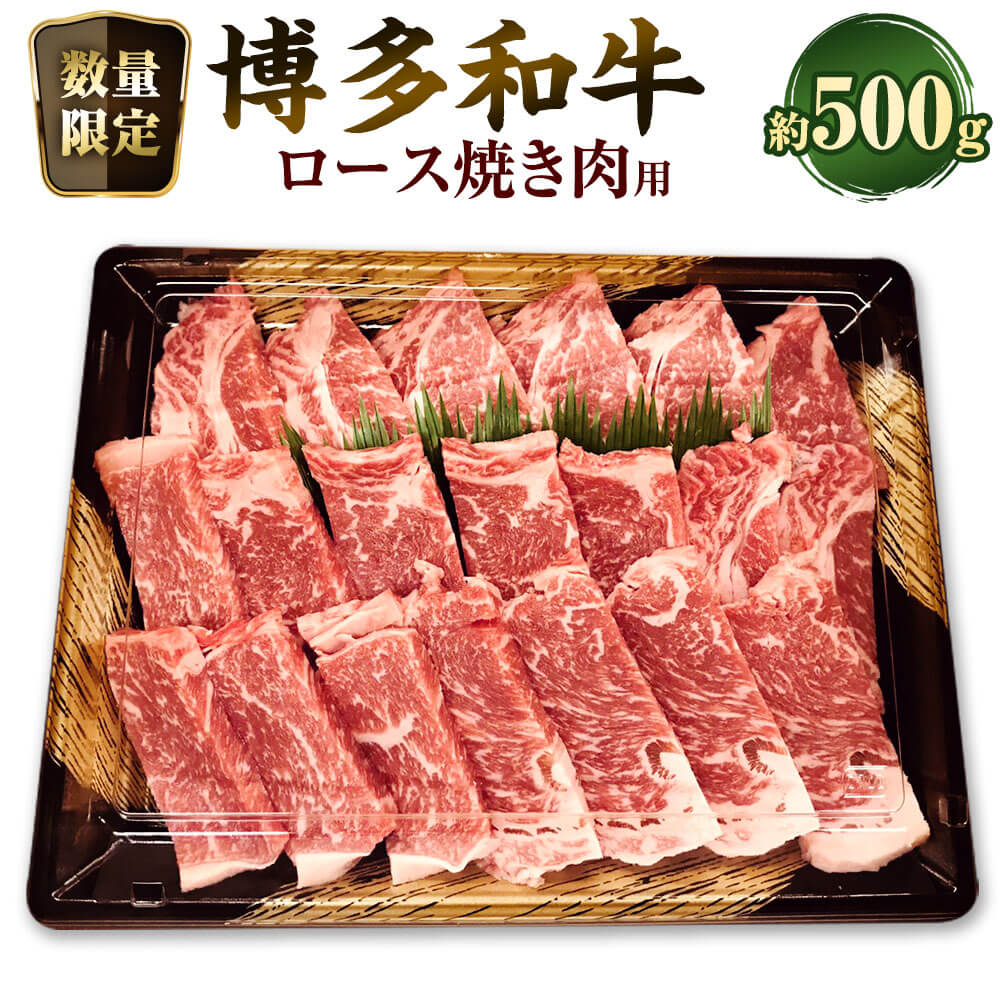 【ふるさと納税】【数量限定博多和牛】ロース 焼き肉用 約500g 黒毛和種 和牛 リブロース サーロイン 牛肉 お肉 霜降り 冷凍 福岡県産 国産 九州 福岡県 大任町 送料無料｜福岡県大任町