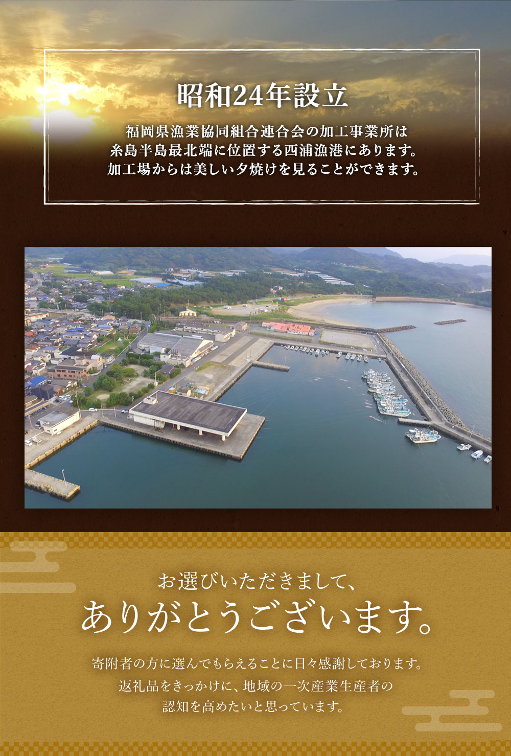 絶妙なデザイン 大容量 無着色 からし明太子 切れ子 合計2kg 小分けタイプ 500g×4袋 便利なジッパー付き めんたいこ 明太子 辛子明太子  小分け 惣菜 おつまみ ご飯のお供 お取り寄せ ご当地グルメ 福岡県 冷凍 送料無料 fucoa.cl