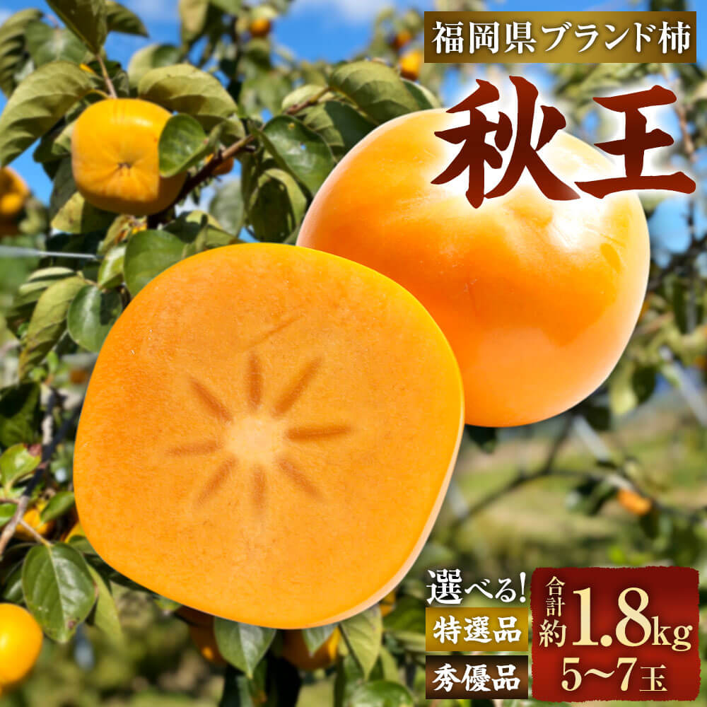 【ふるさと納税】＜選べる 種類＞福岡県ブランド柿 秋王 5-7玉 約1.8kg 【贈答品】 特選品（化粧箱入り） または 秀優品 種無し 【2026年11月上旬-12月上旬発送予定】 柿 種なし 福岡県産 九州産 国産 果物 フルーツ くだもの 旬 冷蔵 福岡県 大任町 送料無料