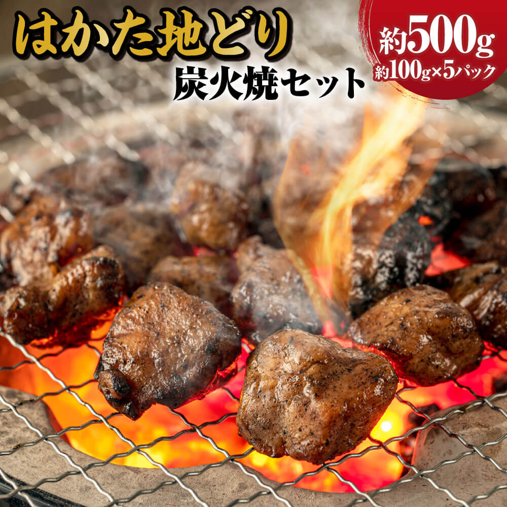 【ふるさと納税】はかた地どり 炭火焼セット 約500g(約100g×5パック)地鶏 鶏肉 とりにく 肉 お肉 炭火焼 おつまみ 小分け 冷凍 九州 福岡県 大任町 送料無料|福岡県大任町