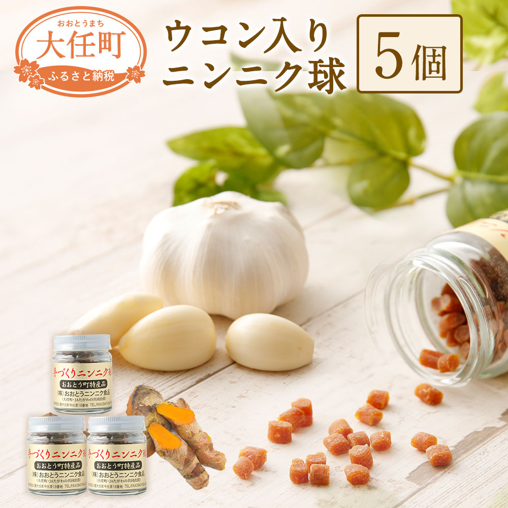 【ふるさと納税】ウコン入りニンニク球5個セット 20g×5個 国産 サプリメント サプリ にんにく うこん 玉 瓶入 送料無料