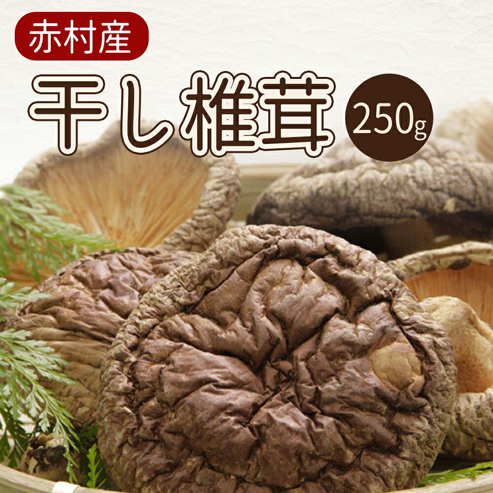 【ふるさと納税】 国産 赤村産 干し 椎茸 約250g 家庭用 しいたけ キノコ きのこ 原木 自然栽培 送料無料 L2｜福岡県赤村
