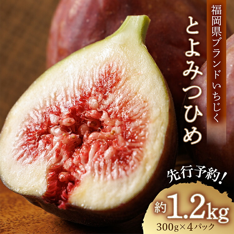 【ふるさと納税】福岡県 ブランド いちじく 「 とよみつひめ 」 約 1.2kg ( 約 300g × 4パック ) イチジク 無花果 国産 フルーツ 果物  食物繊維  美容 送料無料 3W2