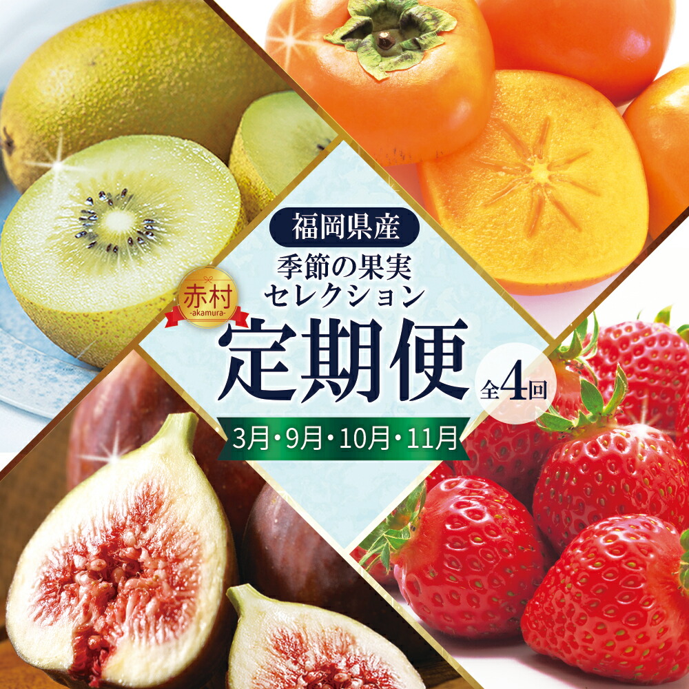 【ふるさと納税】福岡県認定 季節 の 果実 セレクション フルーツ 定期便【 全４回 】 イチジク 無花果 イチゴ 苺 いちご あまおう キウイ 甘うぃ 柿 かき 秋王 国産 日本 果物  食材宅配 食物繊維  美容 送料無料 サブスク 福岡県 赤村　3W26