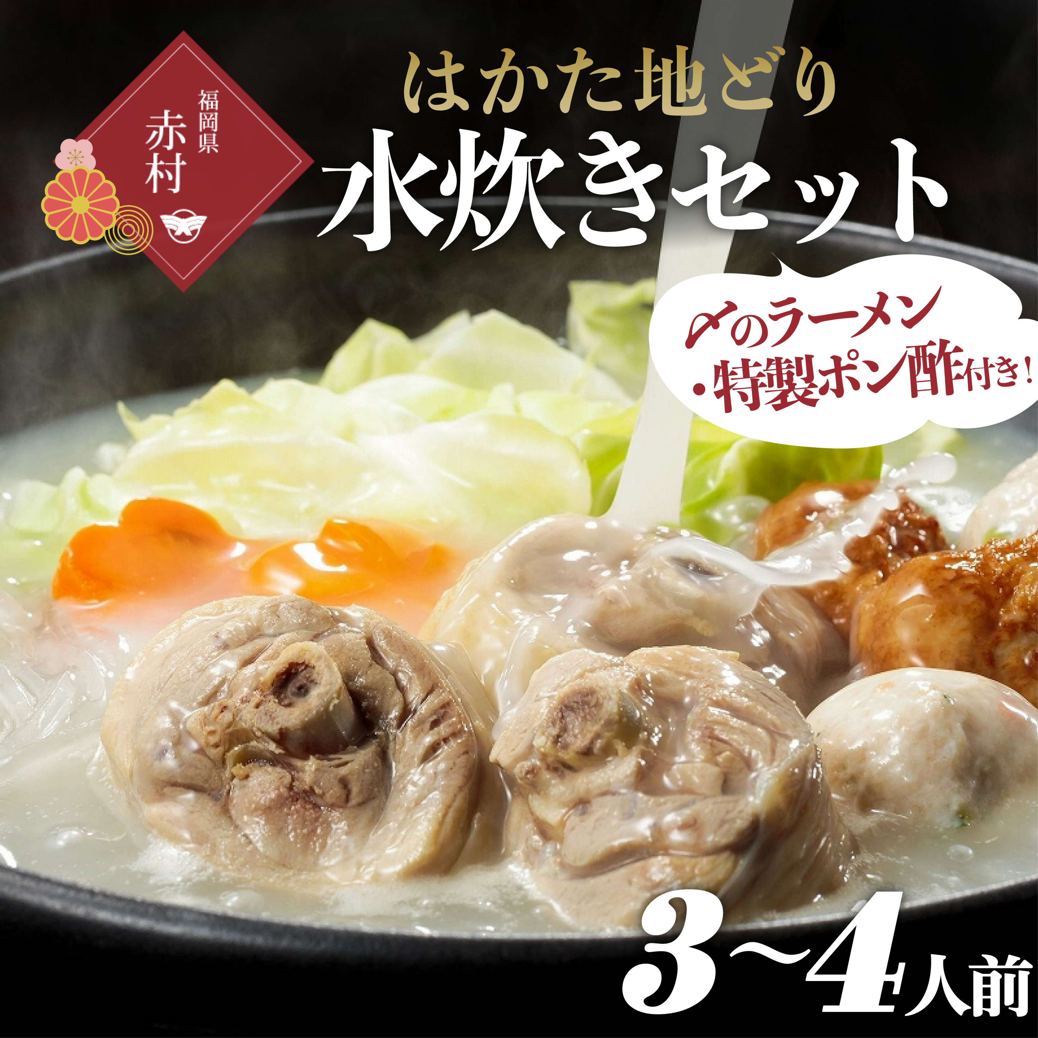 【ふるさと納税】はかた地どり 水炊きセットＡ ３～４人前 福岡 博多 地どり 水炊き ラーメン 国産 鶏肉 もも肉ぶつ切り つみれ 鍋 送料無料 福岡県 赤村 ２Ｔ２