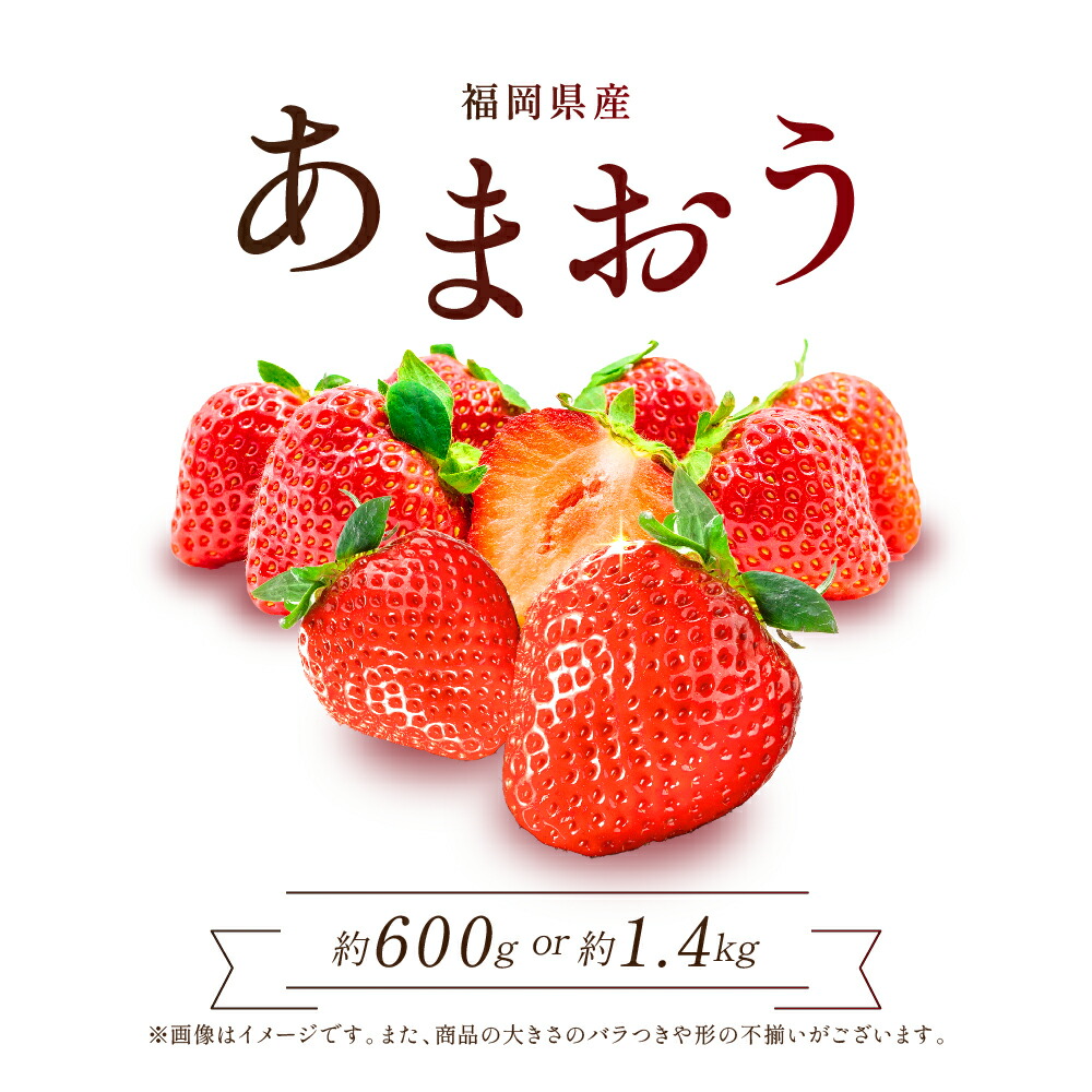 あまおう 福岡産直 あまおう 250g✕2パック（平パック 6~12玉）【送料