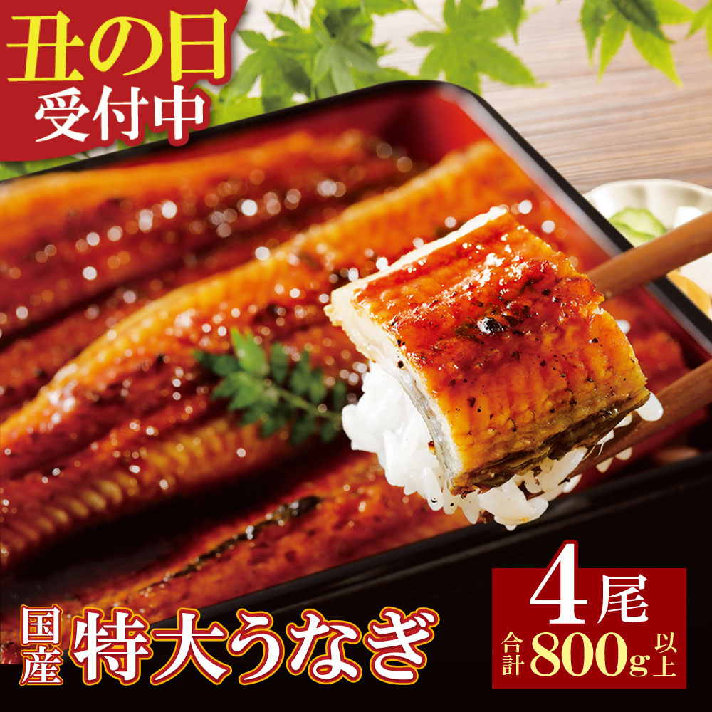 【ふるさと納税】丑の日 先行予約 国産うなぎ蒲焼特大サイズ4尾（計800g以上） 鰻蒲焼用タレ・山椒付 博多若杉 うなぎ生産量日本一 鹿児島県産 宮崎県産 熊本県産 国産 土用の丑の日 7/19 7/31 数量限定 U61-74