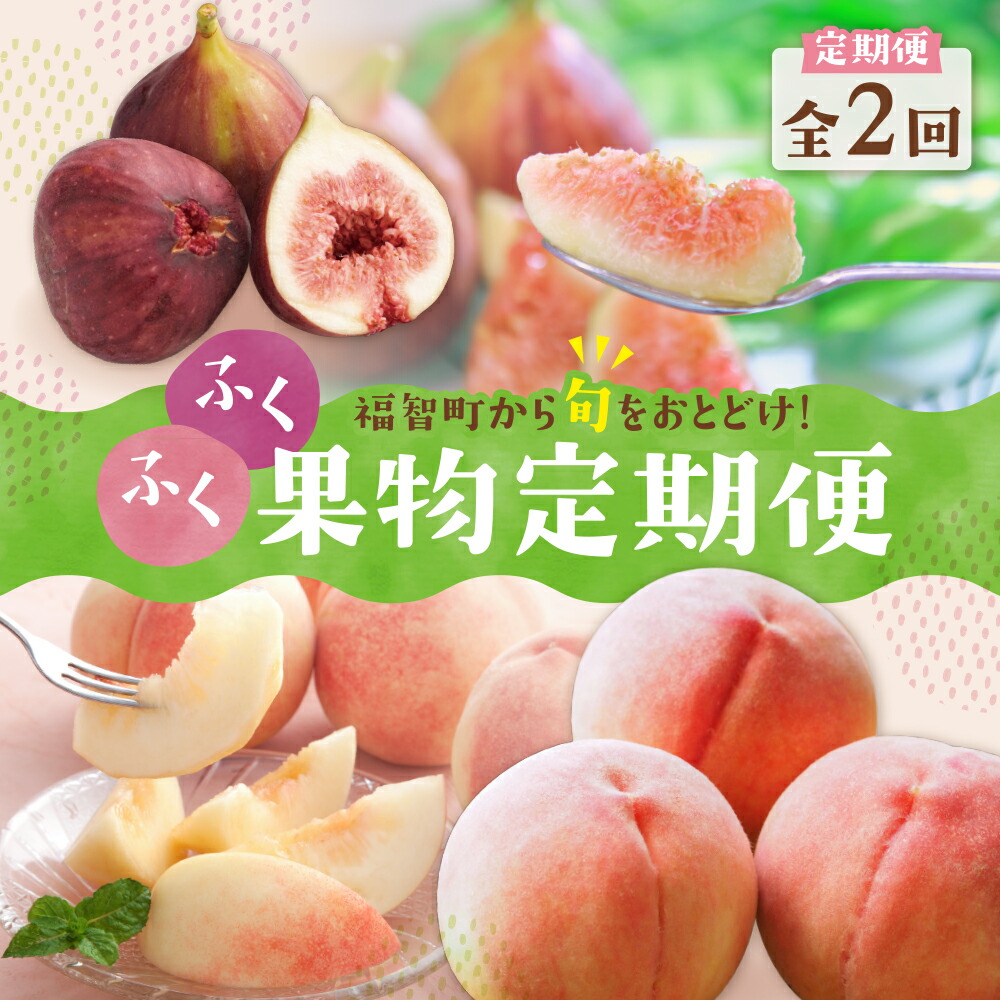 楽天市場】【ふるさと納税】2026年発送 とよみつひめイチジク（4パック