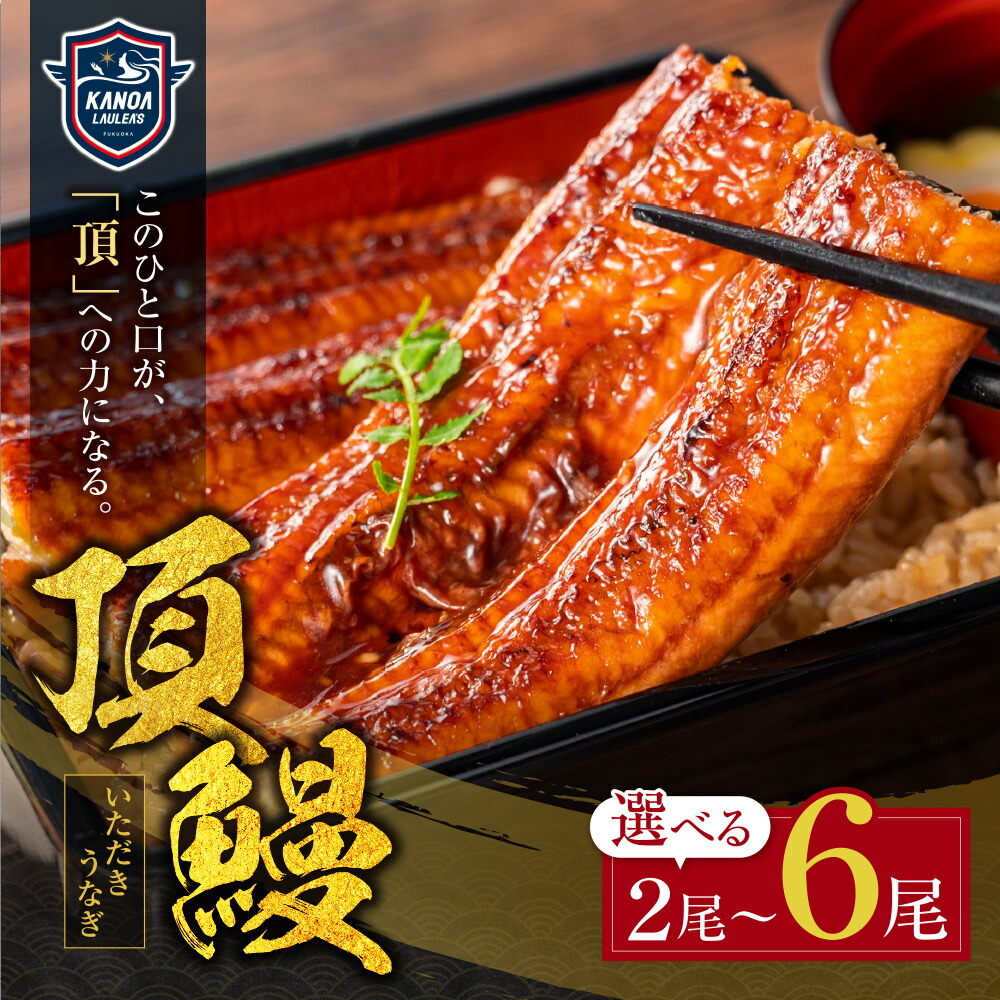 【ふるさと納税】福岡県産 うなぎの蒲焼 頂鰻セット【容量選べる】2尾 4尾 6尾 無頭 カノアラウレアーズ 福岡 コラボ ふるさと納税 うなぎ ふるさと納税 うなぎ 国産 うなぎ 九州産 うなぎの蒲焼 ふるさと 福岡県 福智町 送料無料 ★★｜福岡県福智町