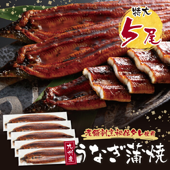 ふるさと納税 飯塚市 魚市場厳選 国産うなぎの蒲焼き 5尾 【85%OFF!】