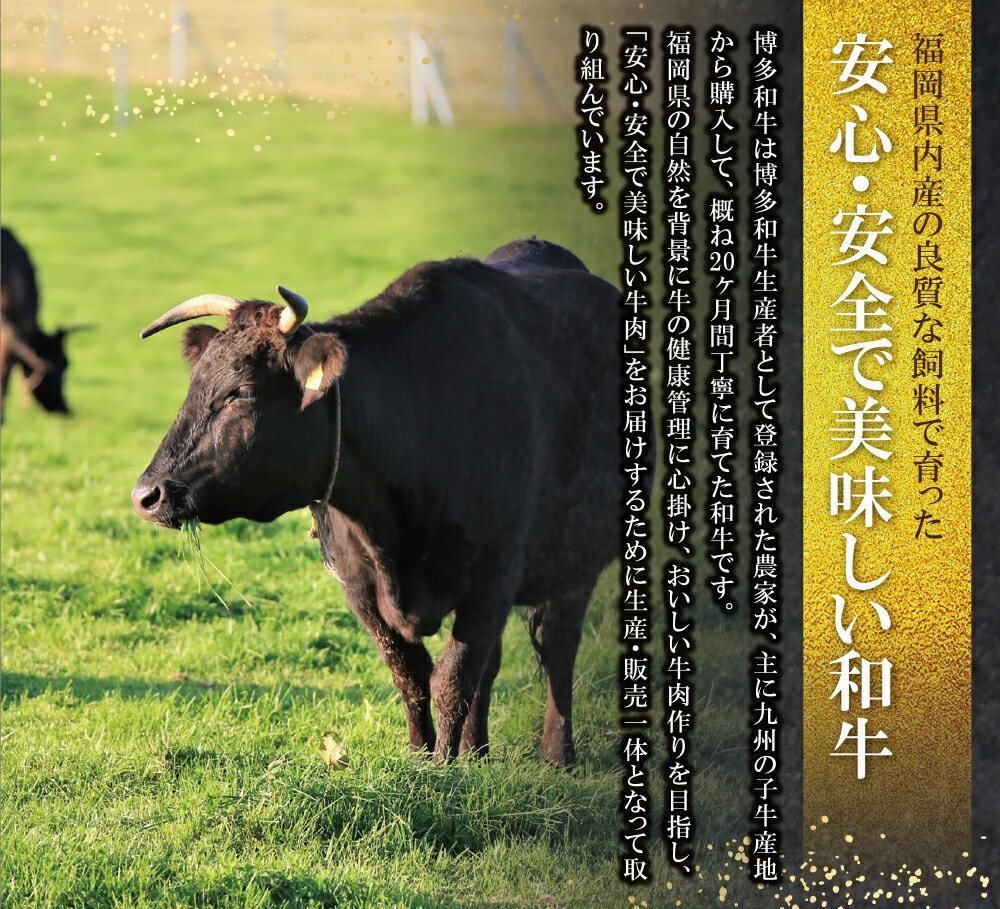 超ポイント祭?期間限定】 博多和牛 肩ロース焼肉用400g 黒毛和牛 ブランド牛 福岡県産 国産 冷凍 送料無料 H09-05 fucoa.cl