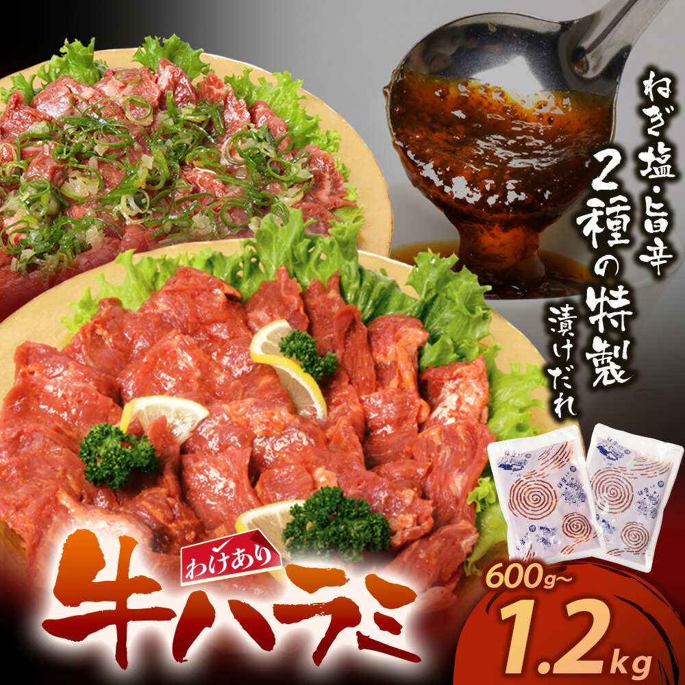 【ふるさと納税】【訳あり】 牛ハラミ肉2種600g～1.2kg 旨辛ダレ ねぎ塩 牛肉 焼肉 味付け肉 やきにく タレ 漬け 付き 個包装 アウトドア キャンプ 大人気 人気 BBQ 簡単 冷凍 家庭用 福智 お試し 博多若杉 送料無料 開催中｜福岡県福智町