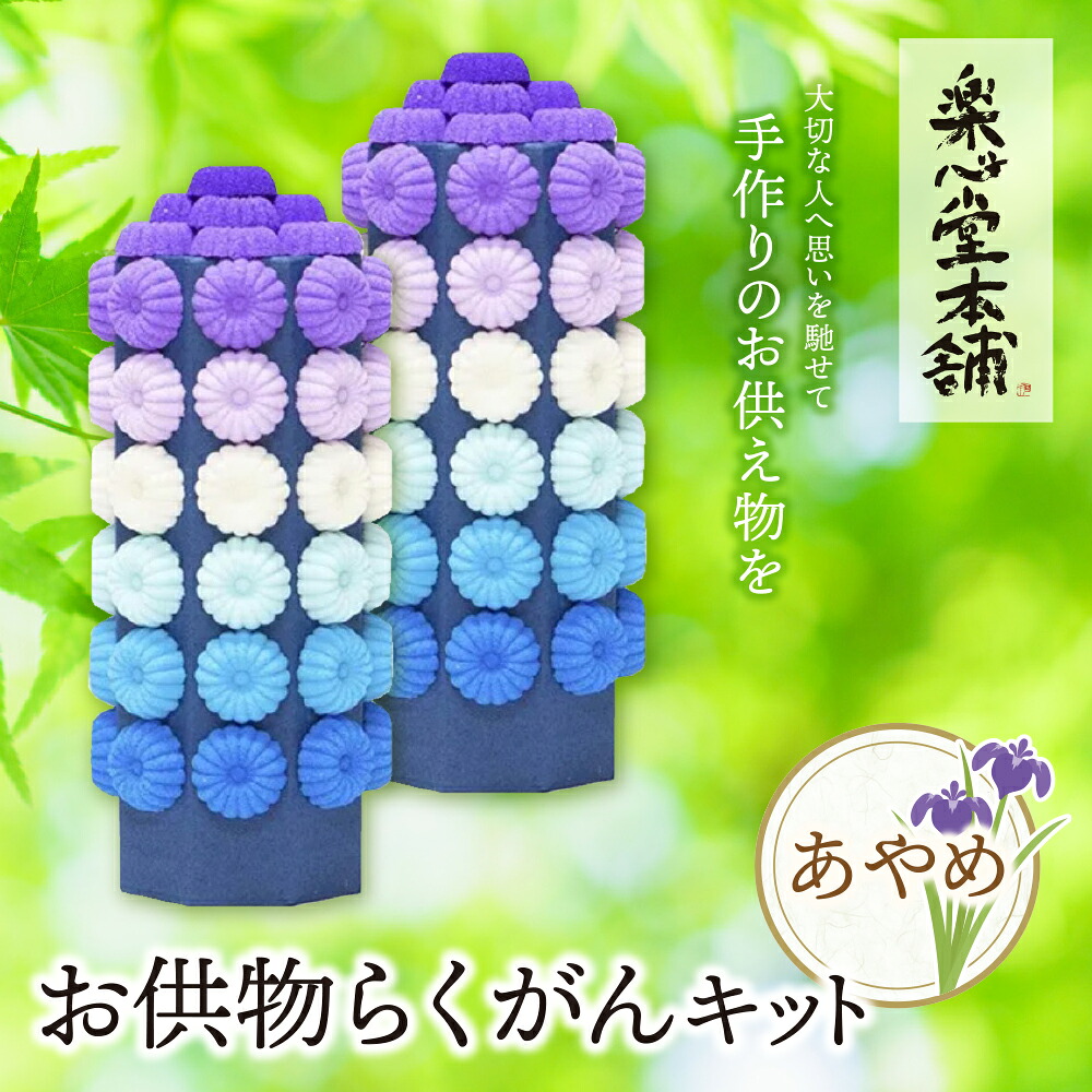【ふるさと納税】 レビューキャンペーン お供物らくがんキット・あやめ