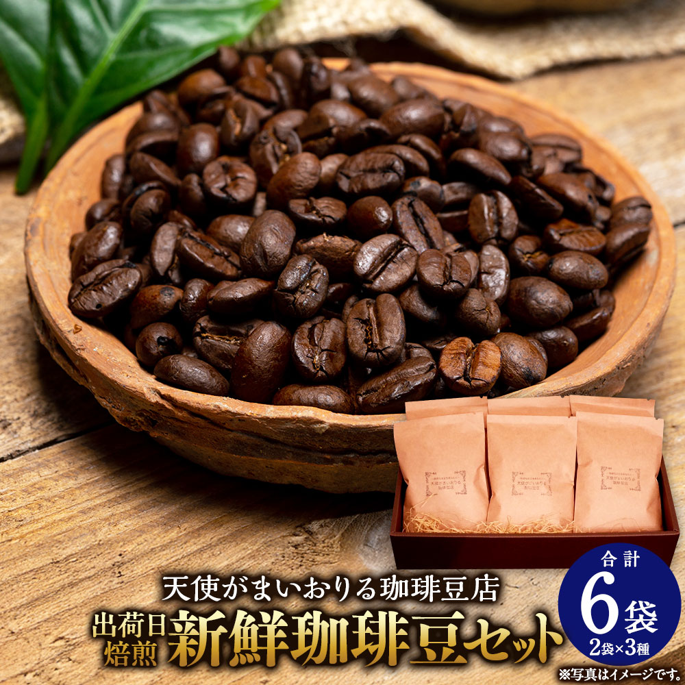 【ふるさと納税】出荷日焙煎『新鮮珈琲豆セット』3種 2袋 合計6袋 コーヒー 珈琲 コーヒー豆 豆 珈琲豆 焙煎 福岡県 苅田町 送料無料
