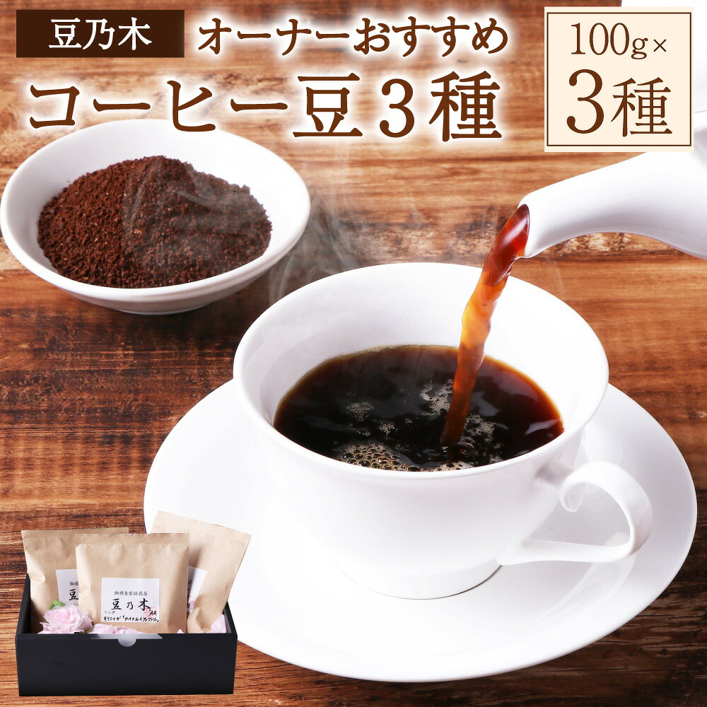 【ふるさと納税】豆乃木オーナーおすすめ コーヒー豆 3種(グァテマラ、ケニア、エチオピア)セット 計300g(各100g×3袋) 粉 中挽き 中煎り 深煎り 珈琲 飲料 ドリンク 福岡県 苅田町 送料無料|福岡県苅田町