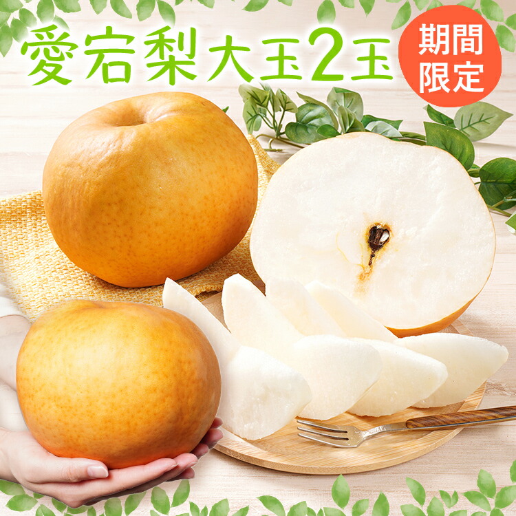 【ふるさと納税】 梨 愛宕梨 大玉2玉 フルーツ 先行予約 数量限定 日本一大きな梨 なし 期間限定 ≪2026年11月上旬頃より順次出荷≫