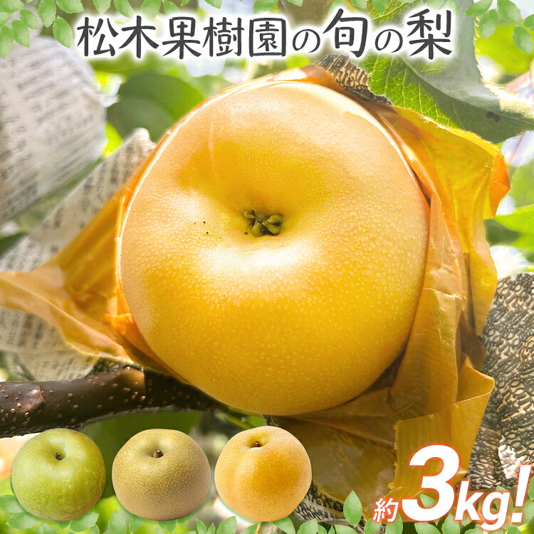 【ふるさと納税】期間限定 先行予約 旬の梨 松木果樹園 約3kg 《7月下旬～9月上旬に順次出荷予定》 幸水 新水 豊水 農家直送 樹上完熟 甘い ジューシー フルーツ 果物 果汁 ギフト 福岡県 福岡 九州 グルメ お取り寄せ